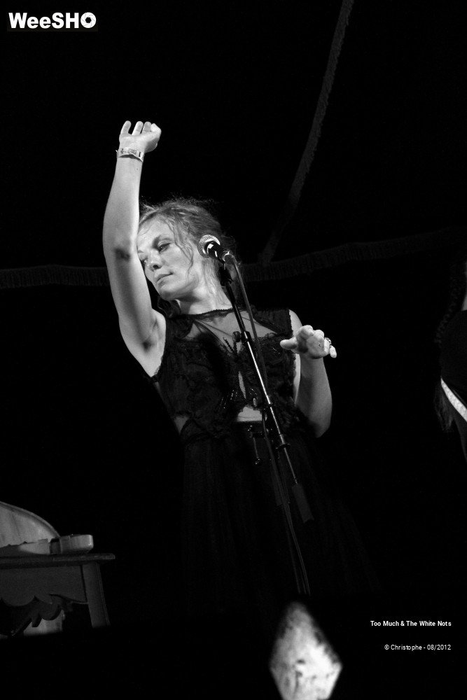 28/32 photos du spectacle Too Much & The White Nots