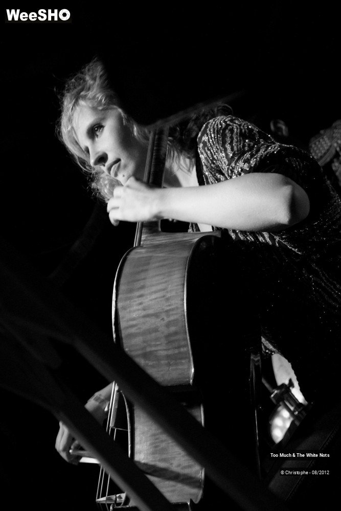 29/32 photos du spectacle Too Much & The White Nots