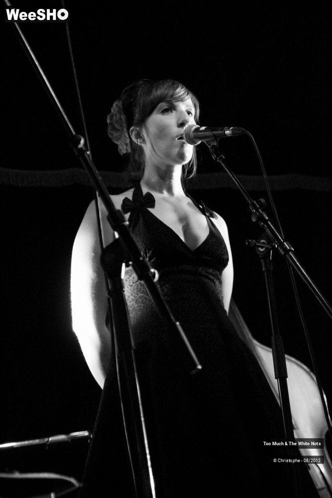 30/32 photos du spectacle Too Much & The White Nots