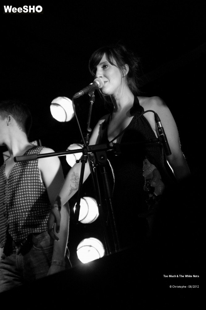 31/32 photos du spectacle Too Much & The White Nots