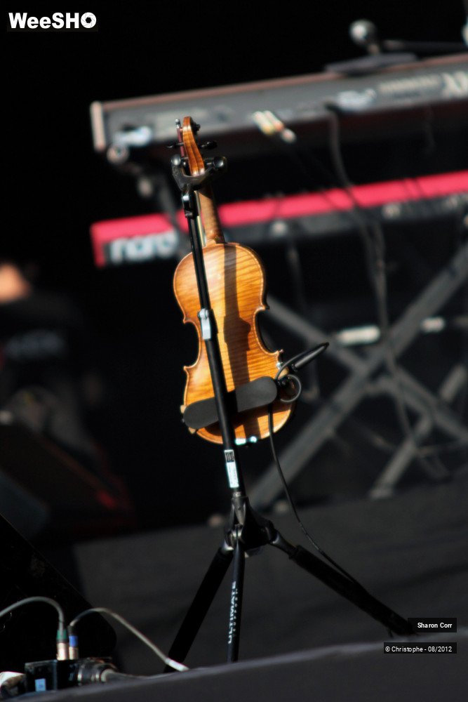 32/37 photos du spectacle Sharon Corr