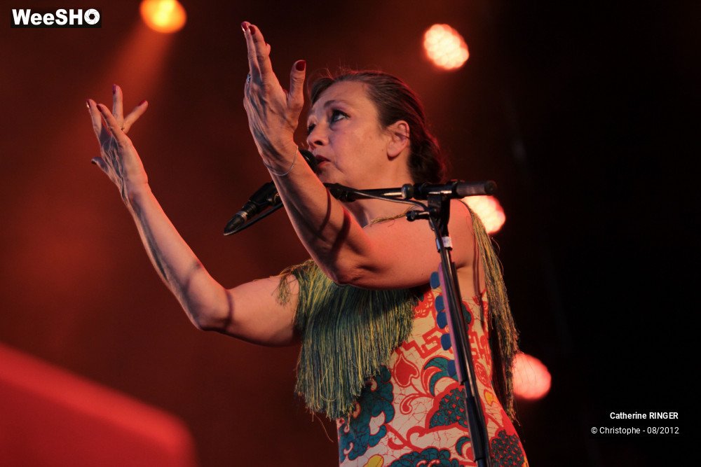 8/34 photos du spectacle Catherine Ringer