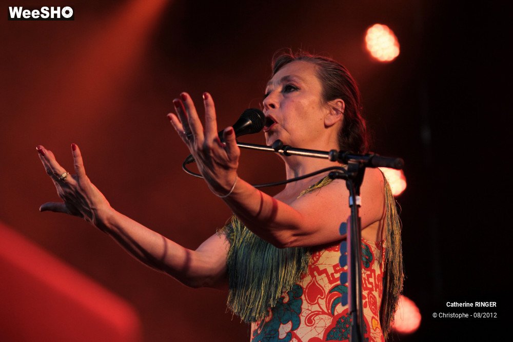 20/34 photos du spectacle Catherine Ringer