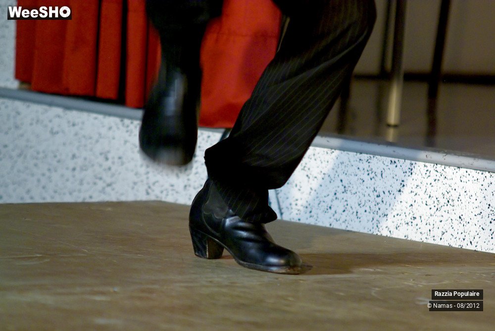 1/39 photos du spectacle Razzia Populaire et ses invités