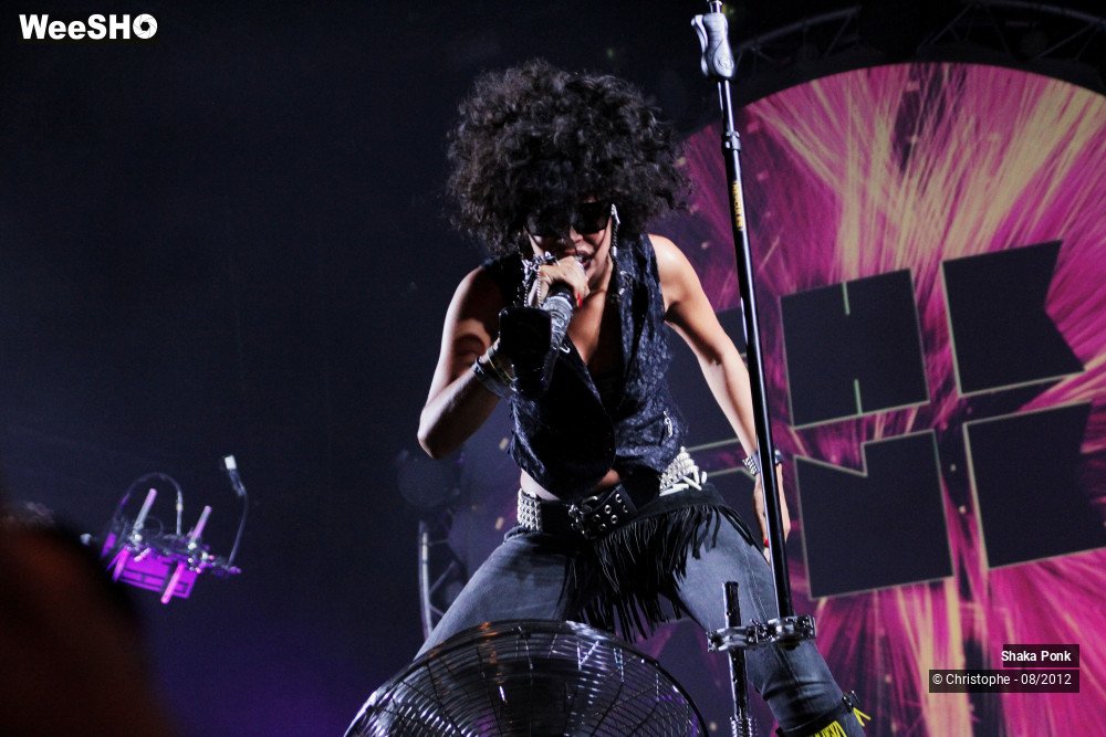 2/50 photos du spectacle Shaka Ponk