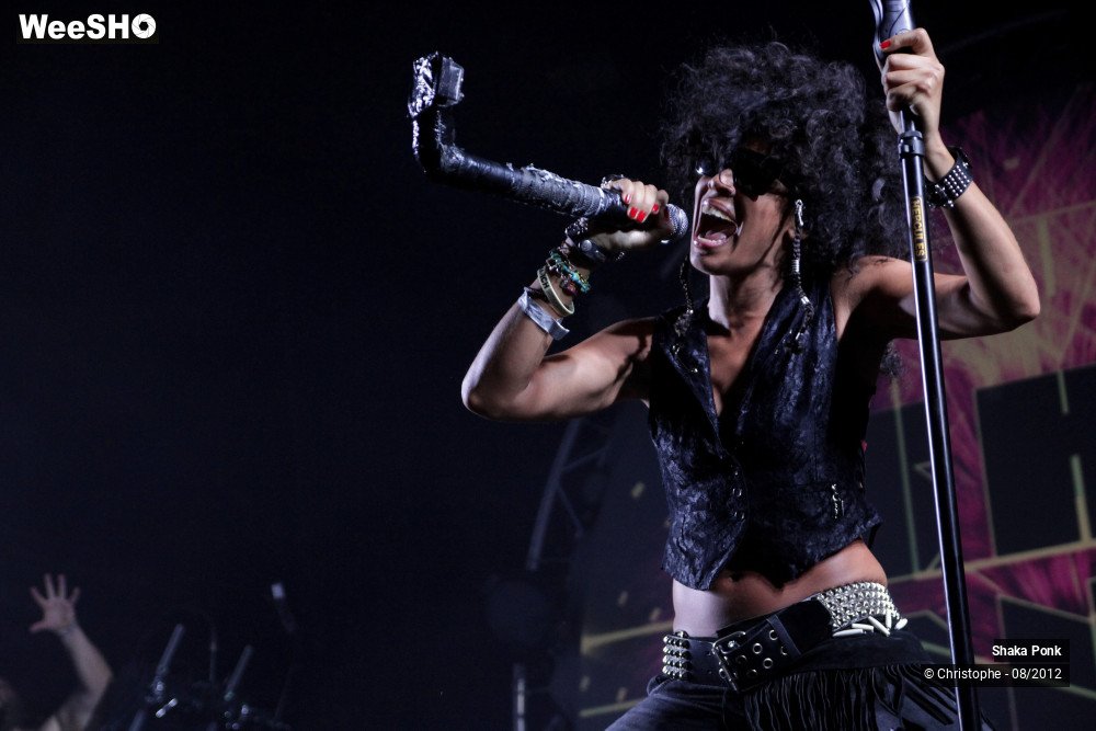 5/50 photos du spectacle Shaka Ponk