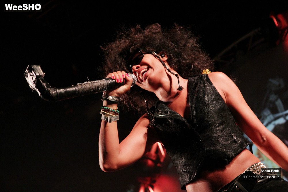 7/50 photos du spectacle Shaka Ponk