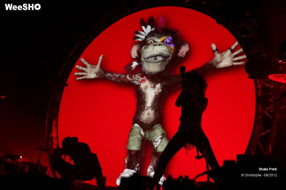 8/50 photos du spectacle Shaka Ponk