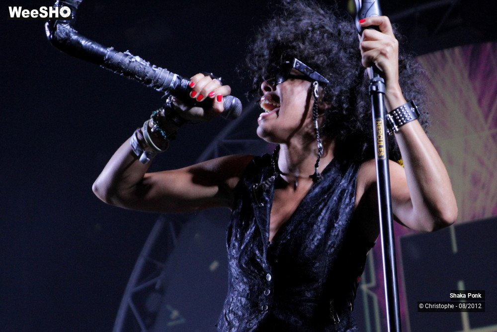 9/50 photos du spectacle Shaka Ponk