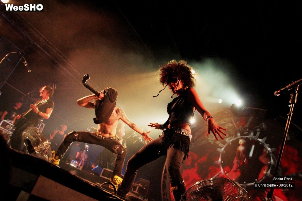 12/50 photos du spectacle Shaka Ponk