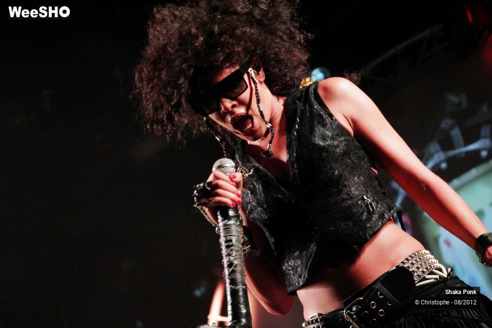 20/50 photos du spectacle Shaka Ponk