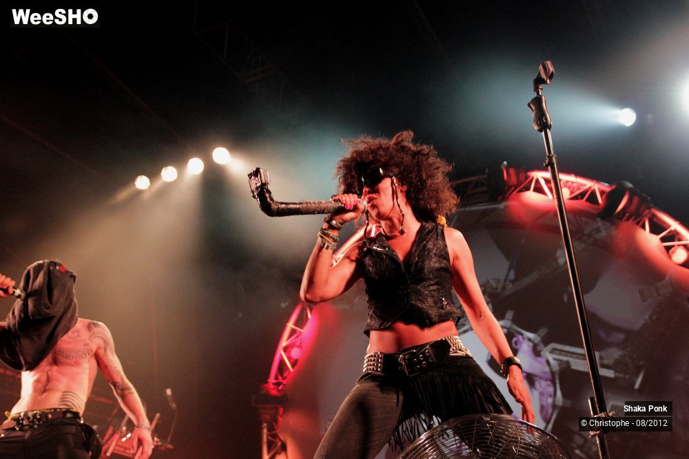 23/50 photos du spectacle Shaka Ponk