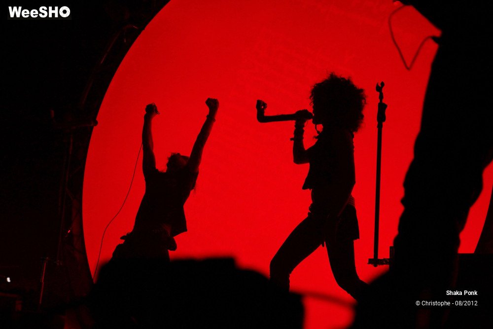 28/50 photos du spectacle Shaka Ponk