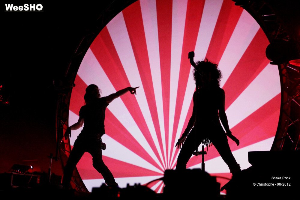 29/50 photos du spectacle Shaka Ponk