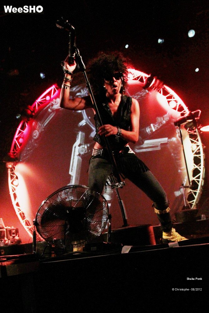 30/50 photos du spectacle Shaka Ponk