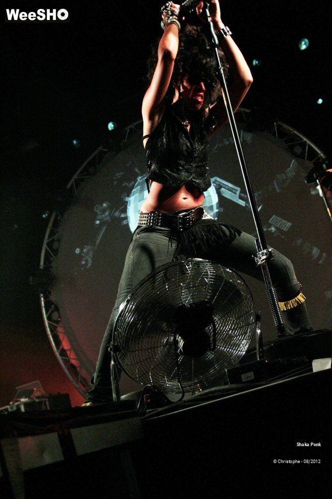 31/50 photos du spectacle Shaka Ponk