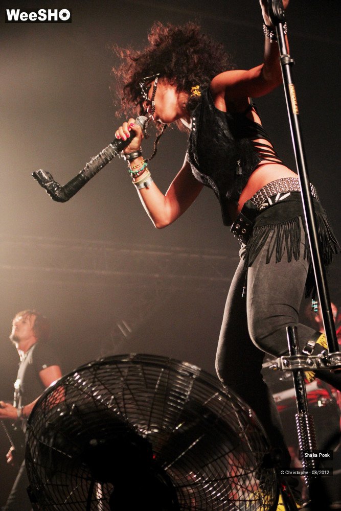 35/50 photos du spectacle Shaka Ponk