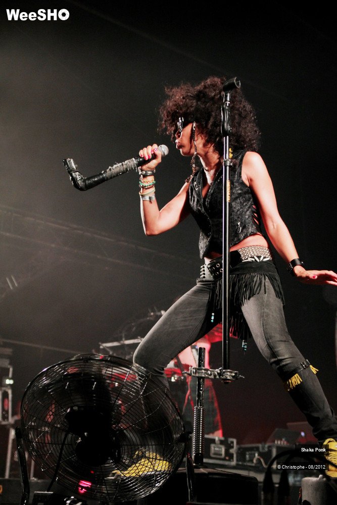 36/50 photos du spectacle Shaka Ponk