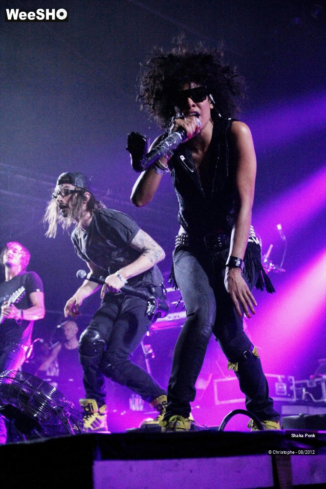 39/50 photos du spectacle Shaka Ponk