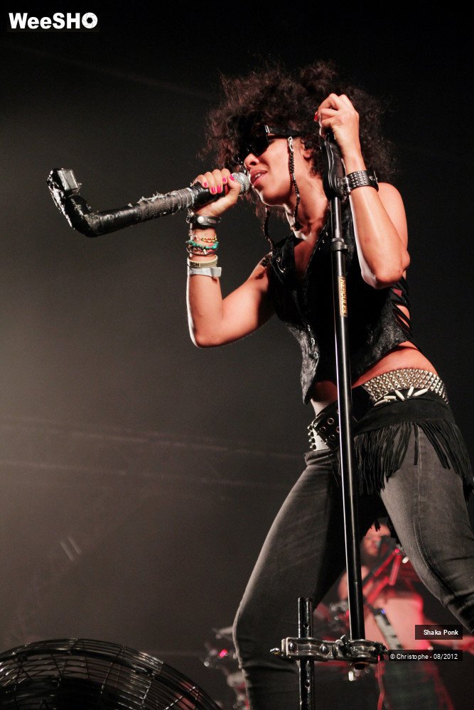 41/50 photos du spectacle Shaka Ponk