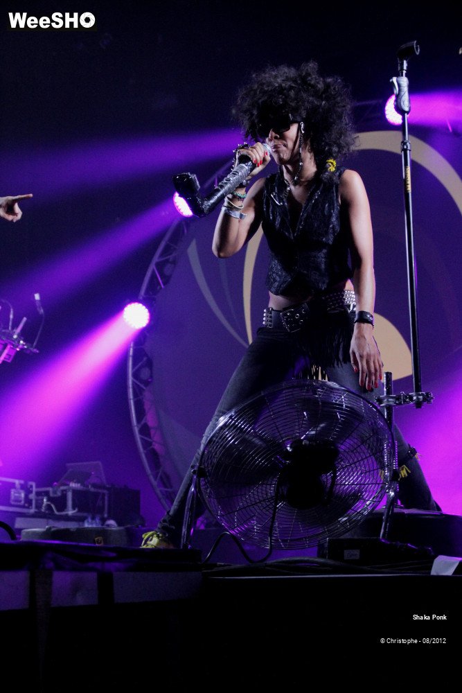 42/50 photos du spectacle Shaka Ponk