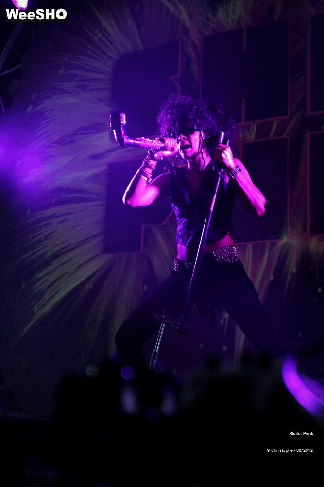 44/50 photos du spectacle Shaka Ponk