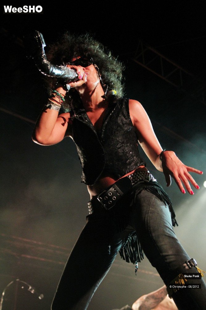 46/50 photos du spectacle Shaka Ponk