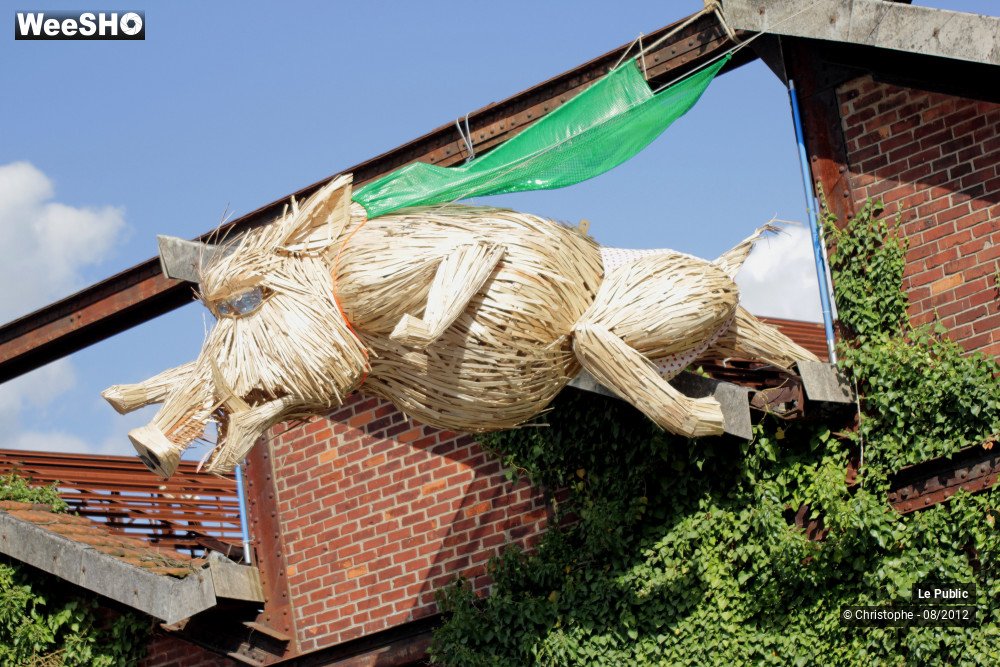 18/50 photos du spectacle Cabaret Vert 2012 ambiance - 2/3