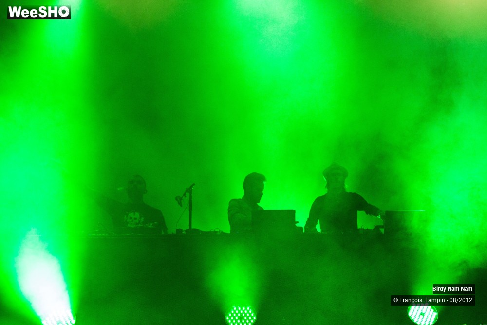 14/23 photos du spectacle Birdy Nam Nam