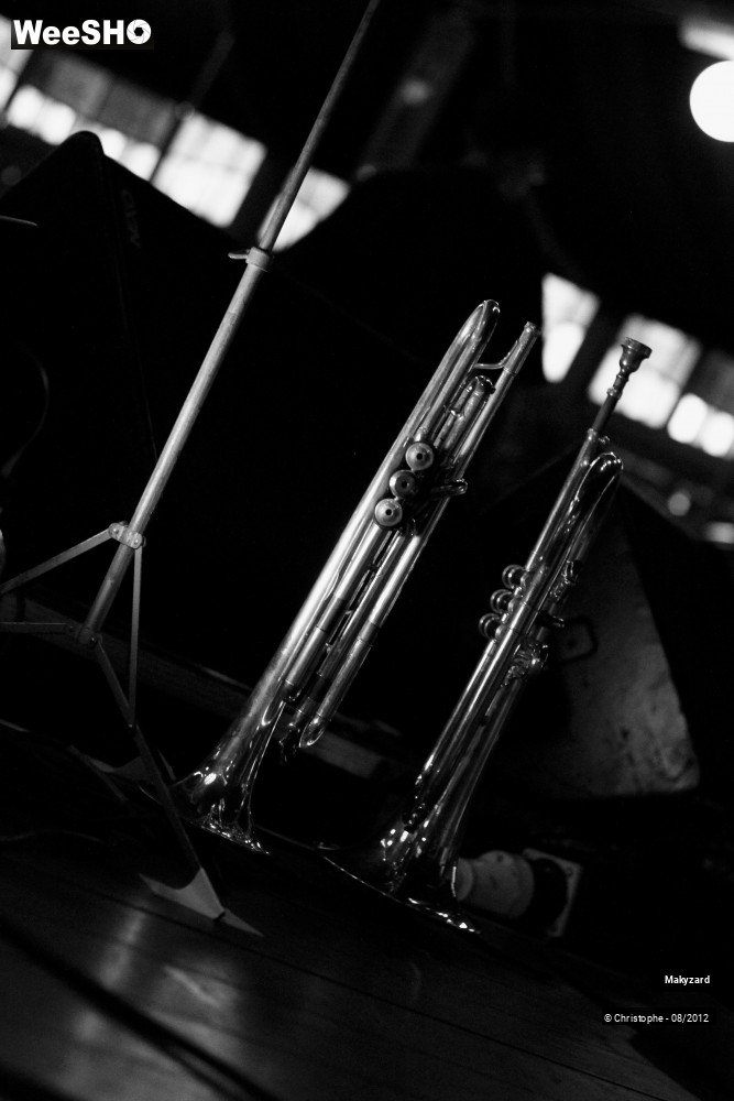 30/31 photos du spectacle Makyzard
