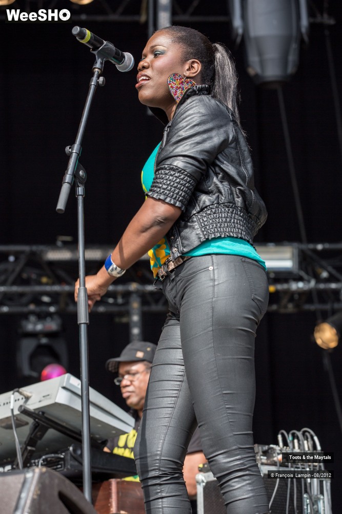 19/29 photos du spectacle Toots and The Maytals