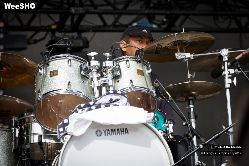 27/29 photos du spectacle Toots and The Maytals