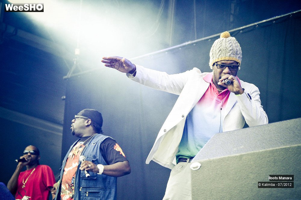3/7 photos du spectacle Roots Manuva