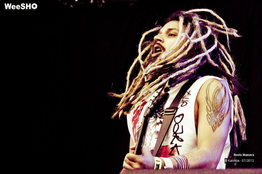 6/7 photos du spectacle Roots Manuva
