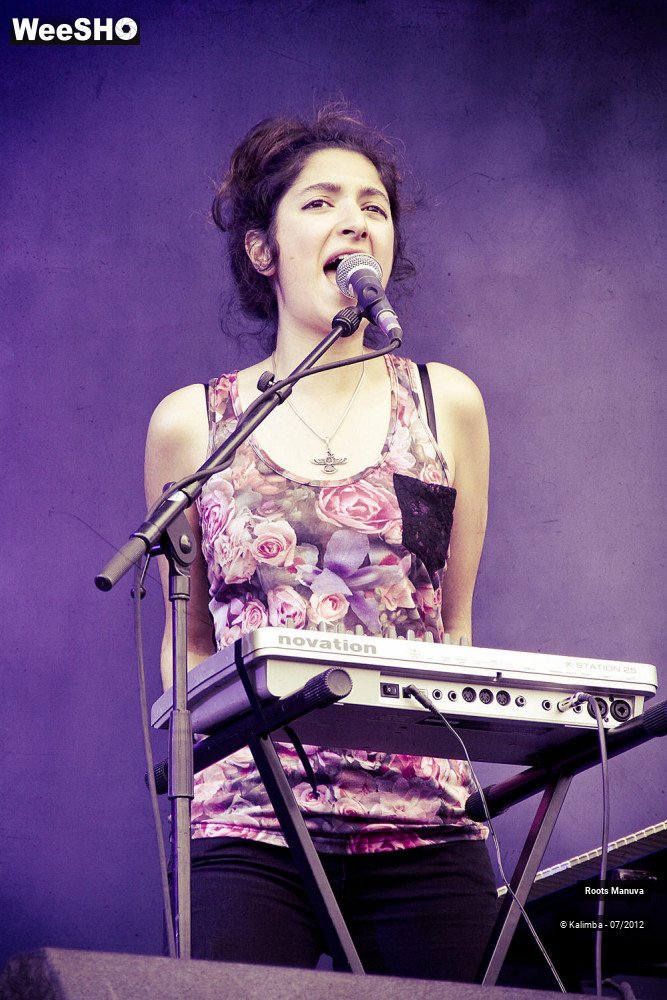 7/7 photos du spectacle Roots Manuva