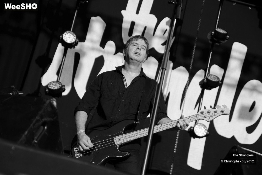 11/42 photos du spectacle The Stranglers