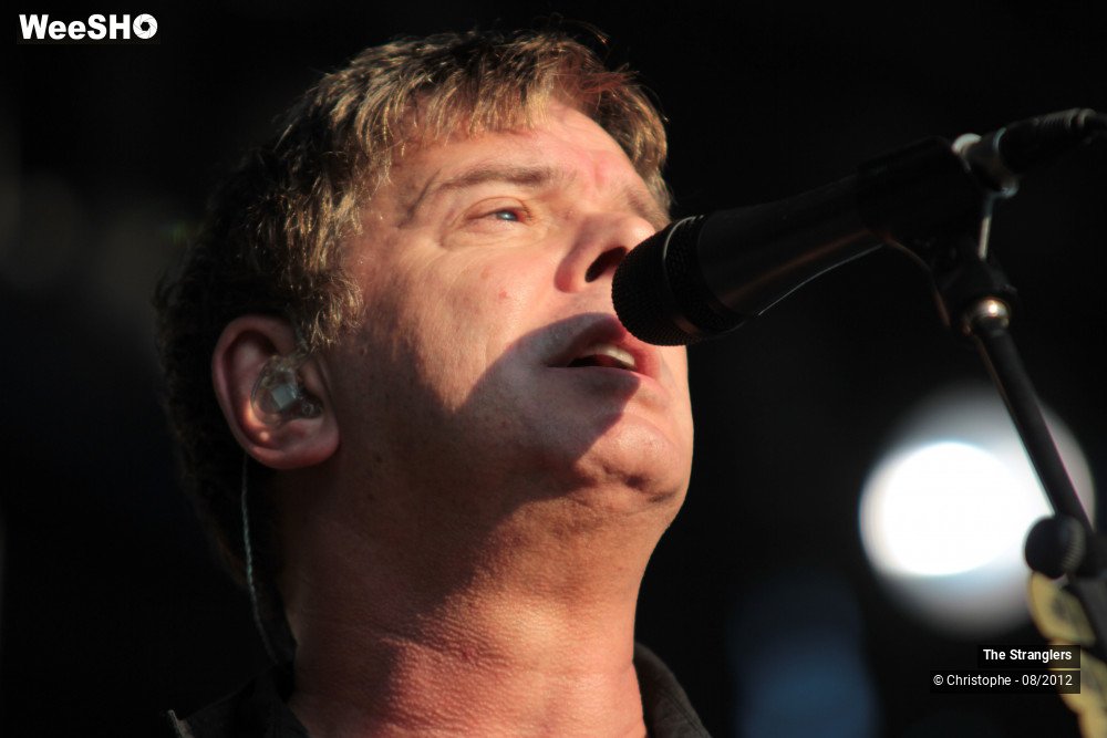 14/42 photos du spectacle The Stranglers