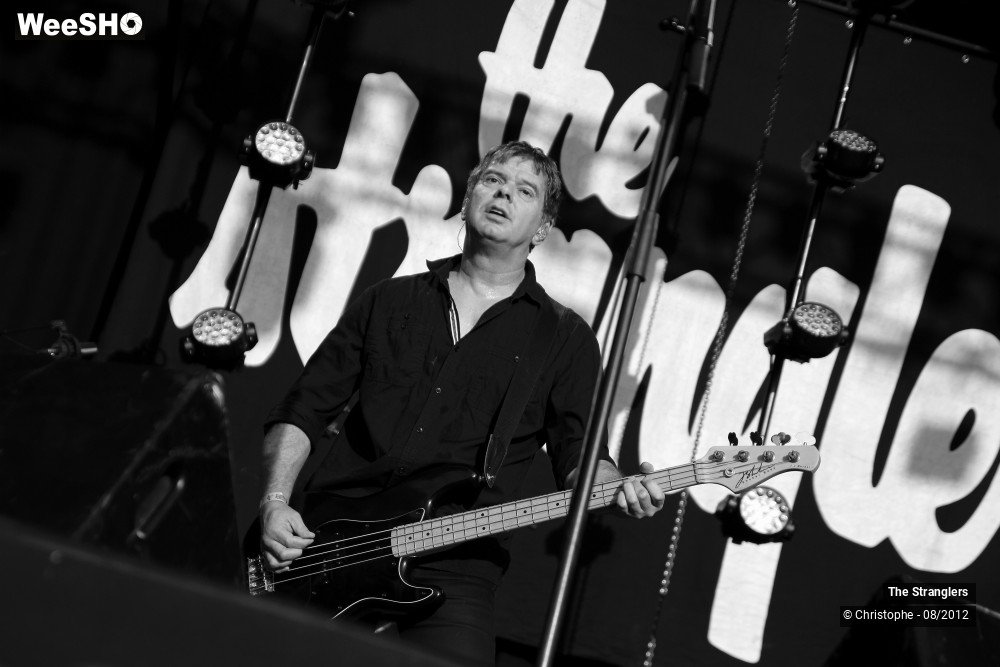 15/42 photos du spectacle The Stranglers