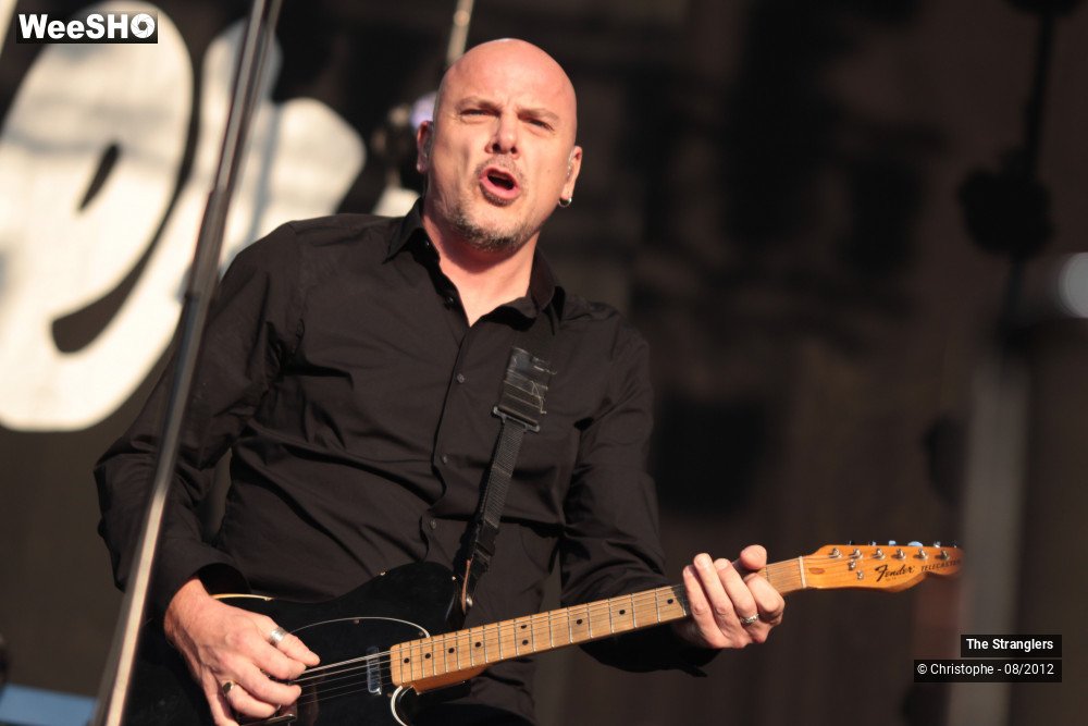 17/42 photos du spectacle The Stranglers