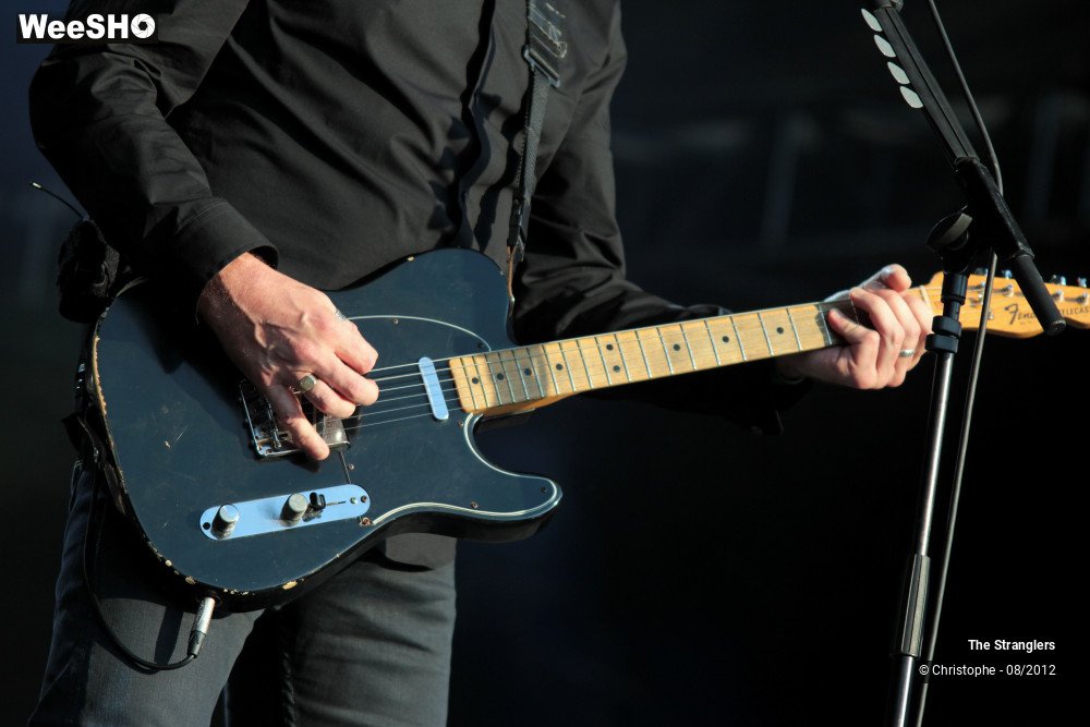 22/42 photos du spectacle The Stranglers