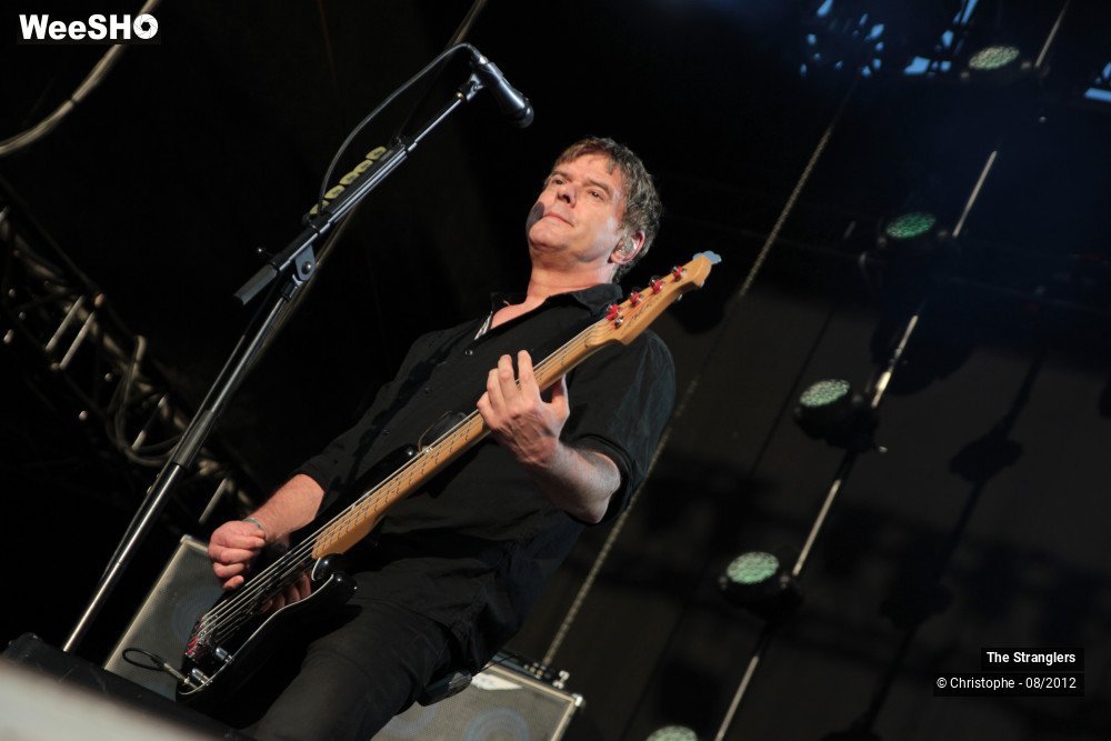 29/42 photos du spectacle The Stranglers
