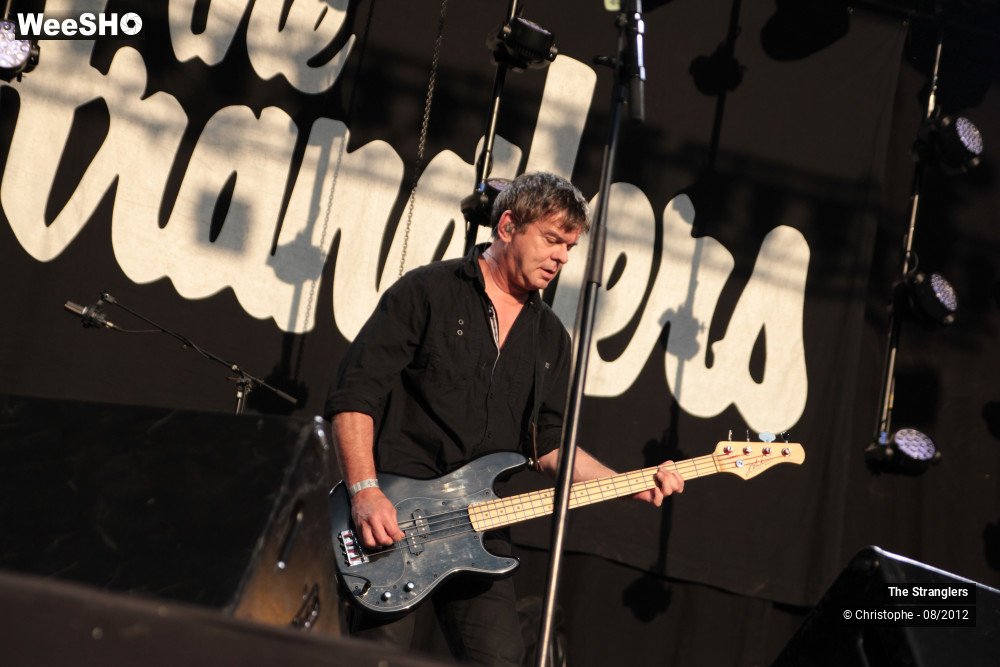 33/42 photos du spectacle The Stranglers