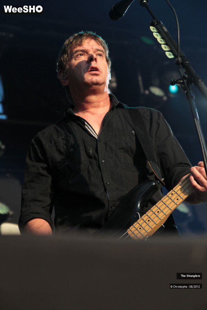 34/42 photos du spectacle The Stranglers