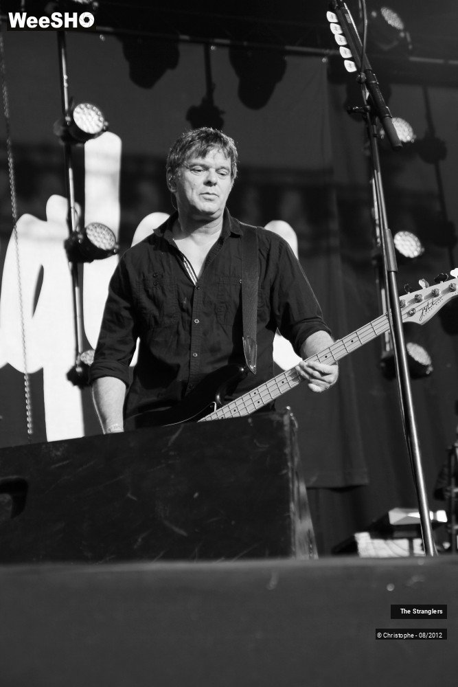 35/42 photos du spectacle The Stranglers