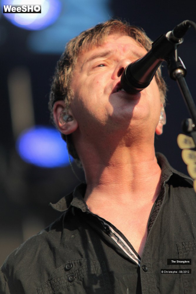 36/42 photos du spectacle The Stranglers