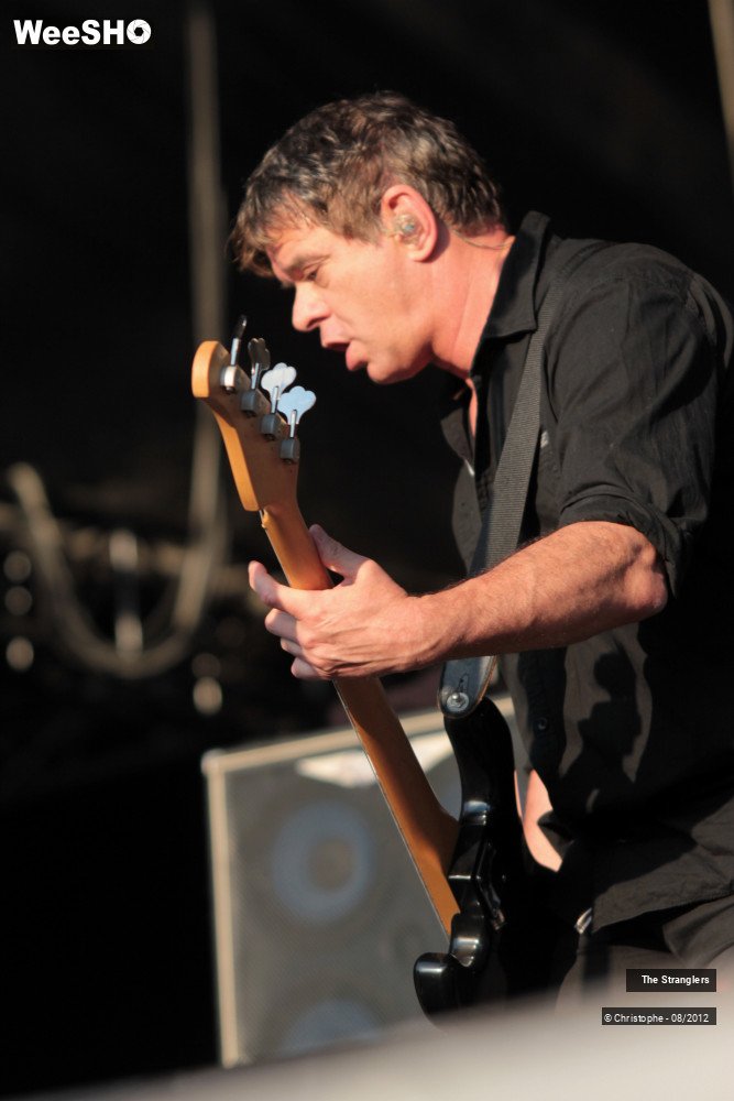 38/42 photos du spectacle The Stranglers