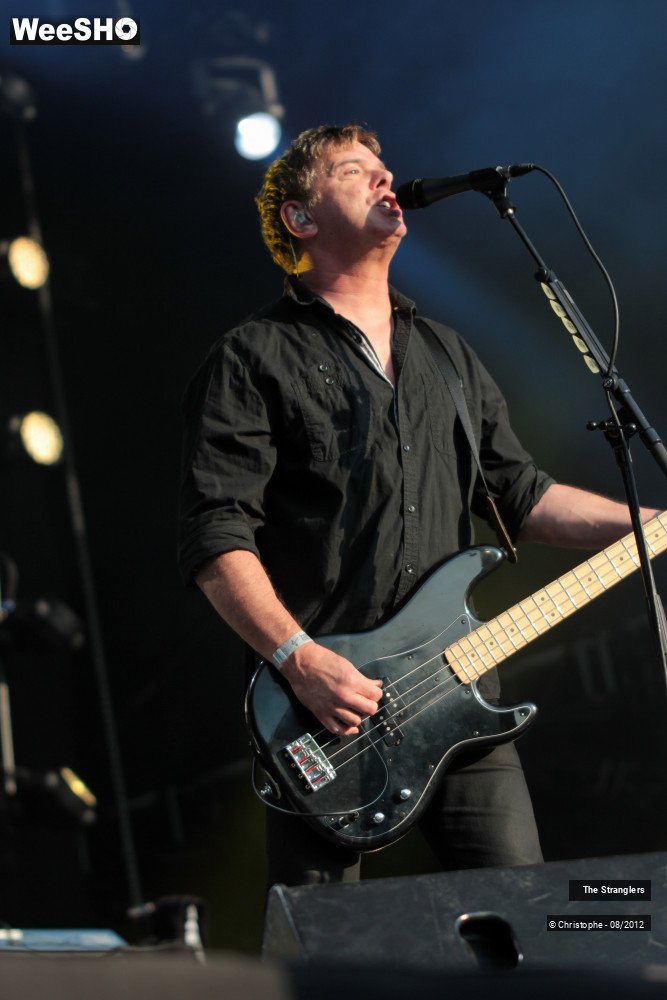 39/42 photos du spectacle The Stranglers