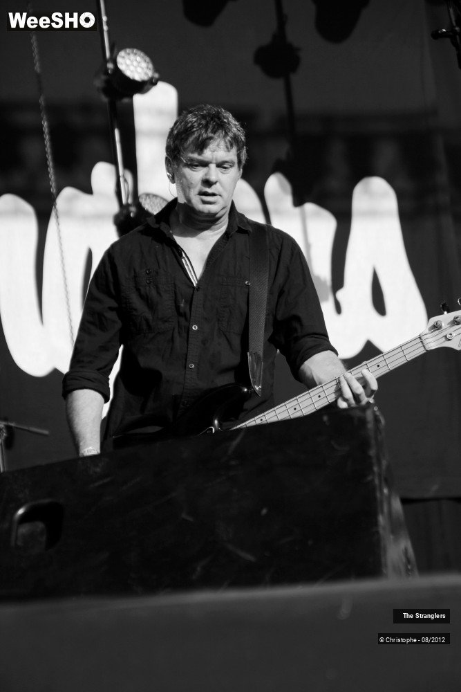 41/42 photos du spectacle The Stranglers