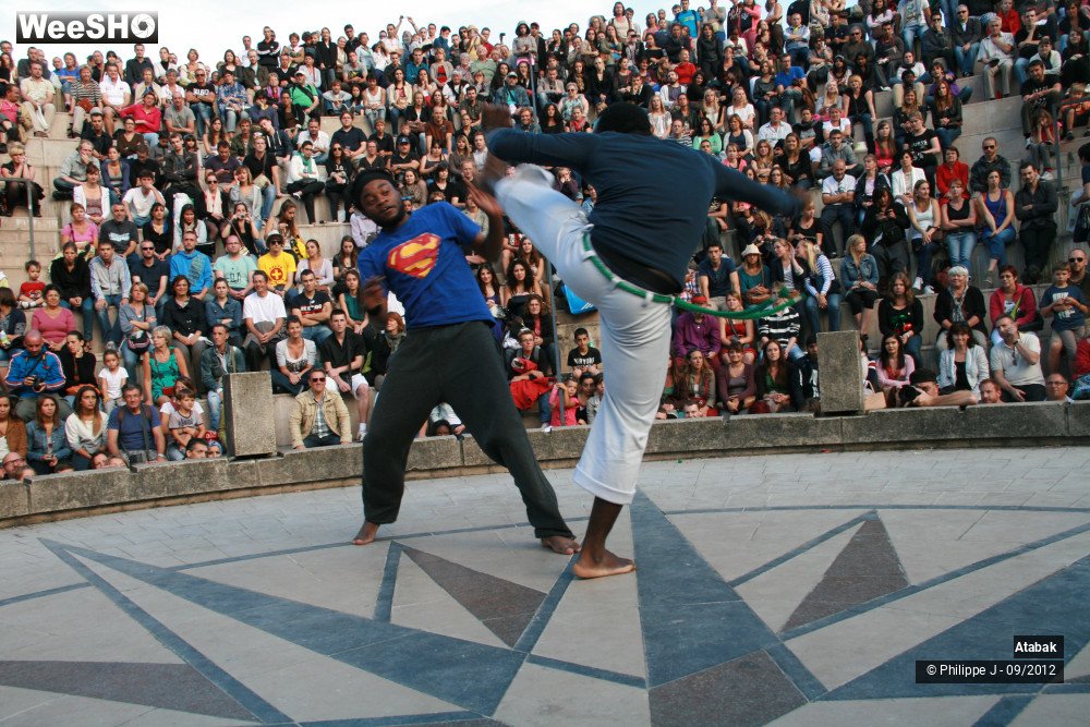 8/49 photos du spectacle Atabak