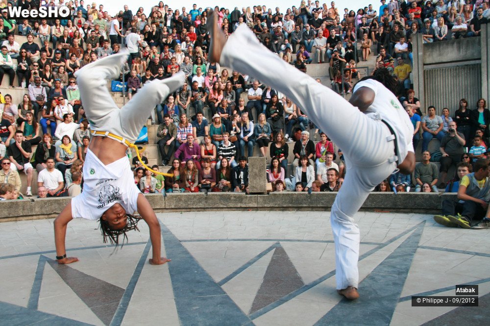 30/49 photos du spectacle Atabak